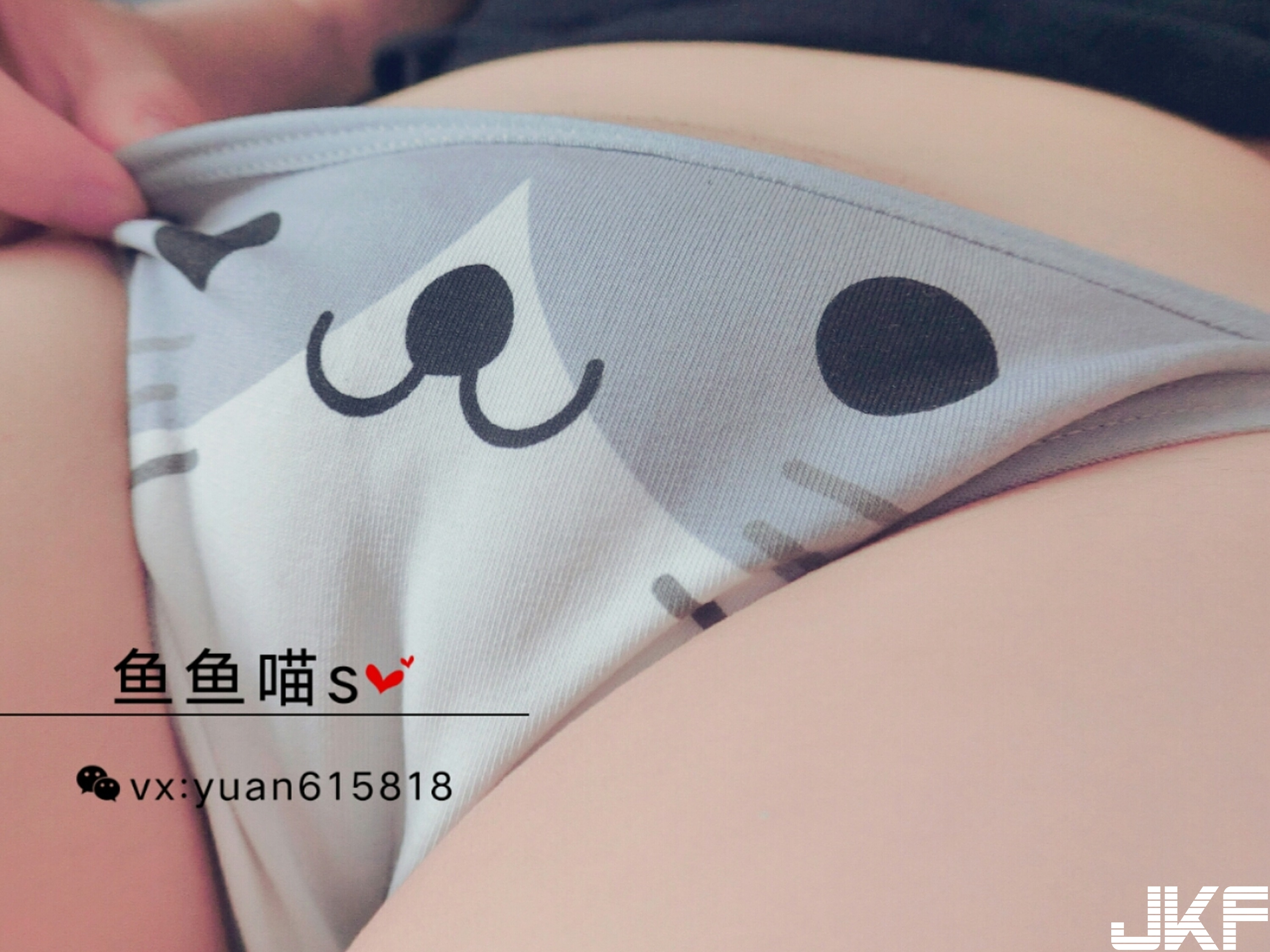 【网路收集系列】鱼鱼喵S