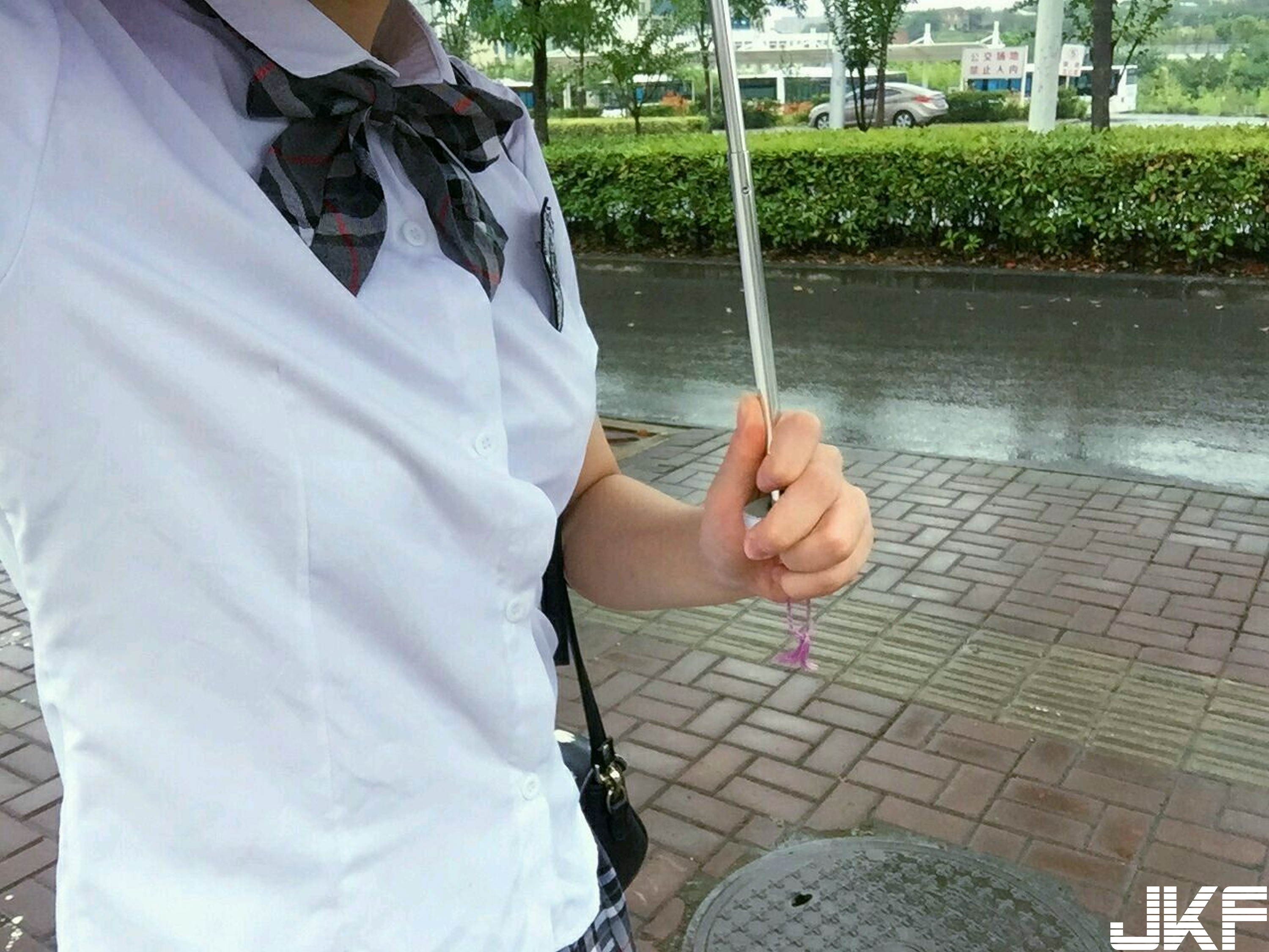 【网路收集系列】嫩妹苏苏小公主酱 公交车VIP福利帖【23P】