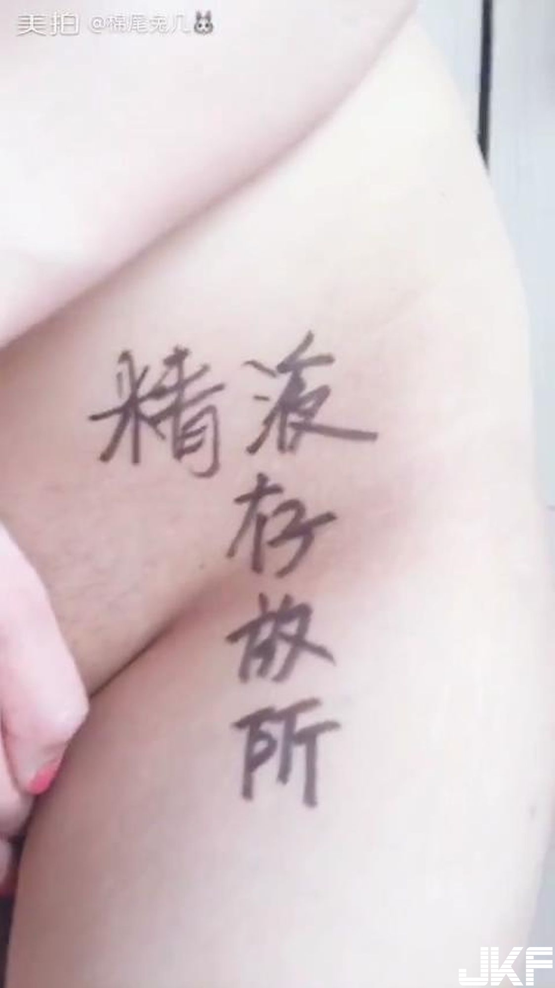 【网路收集系列】w棉尾兔几w 赤裸的本性【40P】